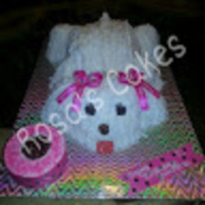 Meet your Posher, Rosa